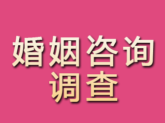 东安婚姻咨询调查